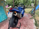 Triumph, Daytona 955i - TRIUMPH 955 DAYTONA