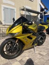 Triumph Daytona 675 SE | 1. Hand | nur 7.500 km  - TRIUMPH DAYTONA 675