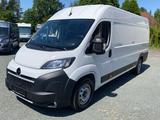 Opel MOVANO KASTEN L4H2 140 PS VERKLEIDET KAMERA NAVI - gebrauchte Opel Movano aus dem Jahr 2024