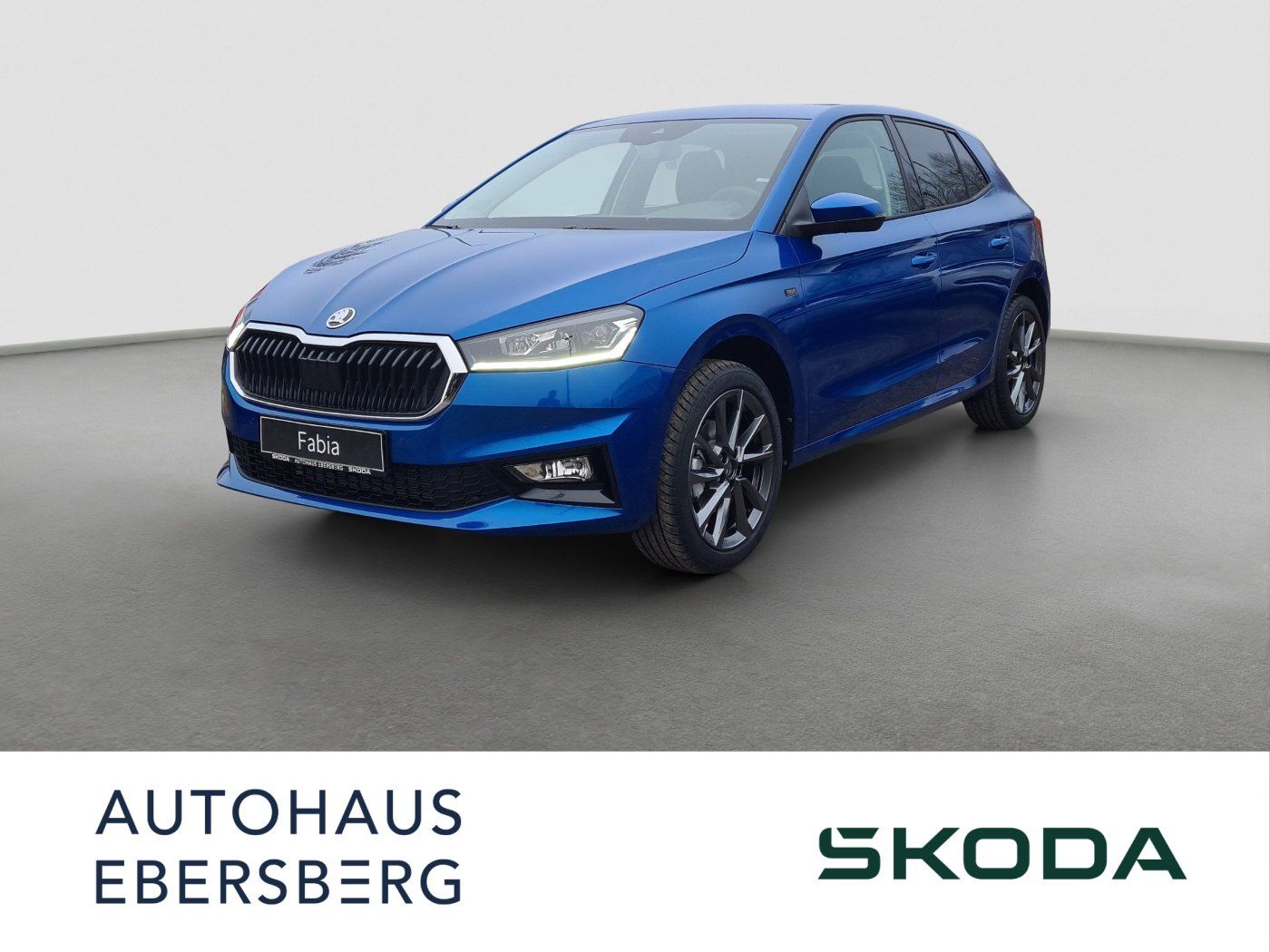 Skoda Fabia TSI DSG 85 KW Tour ACC Navi Kamera Winter