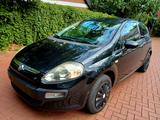 Fiat Punto 1.2 8V TÜV nagelneu 28.07.2027 - gebrauchte Fiat Punto aus dem Jahr 2010