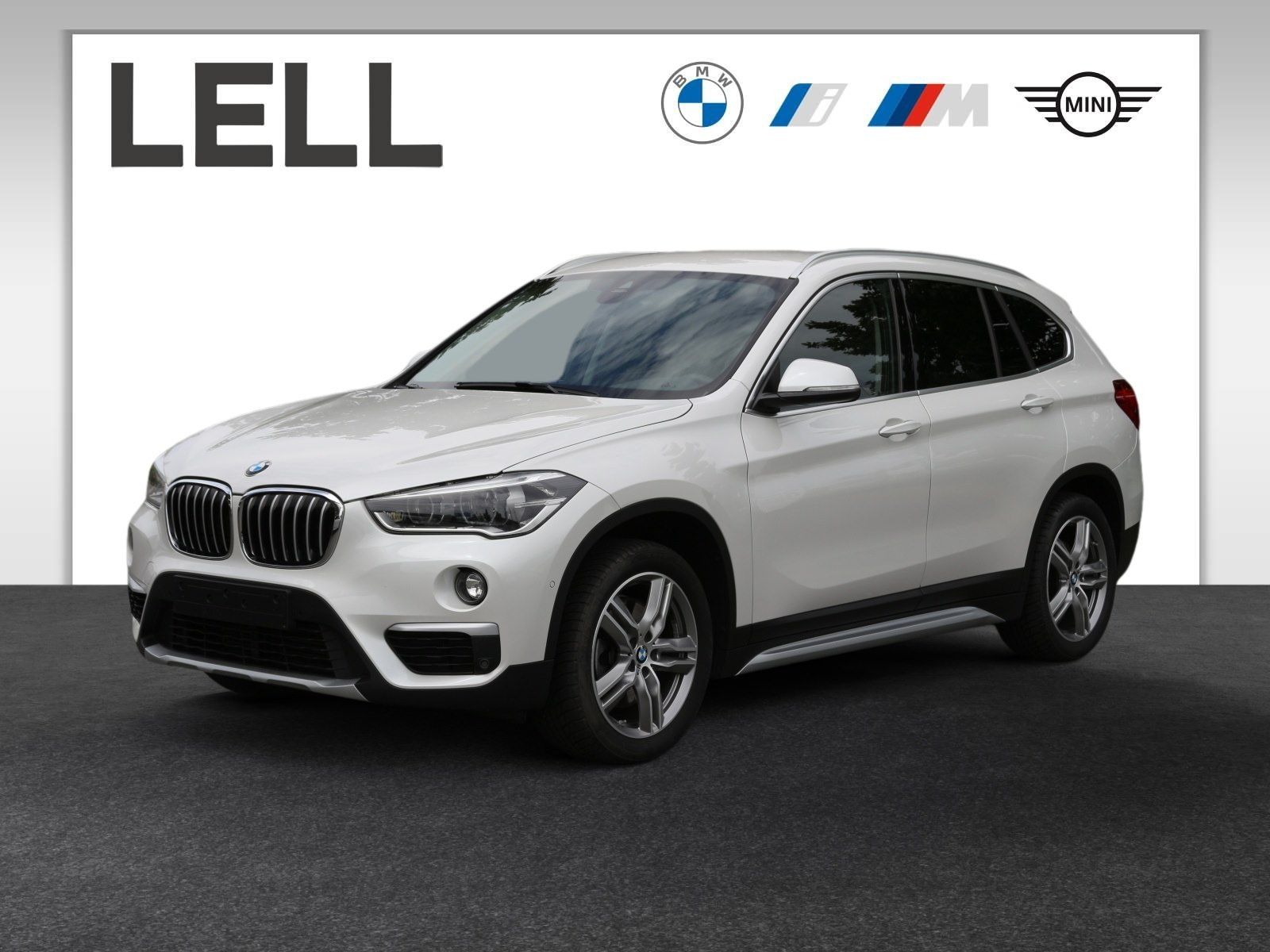BMW X1 xDrive20d xLine HiFi DAB LED RFK Navi Shz