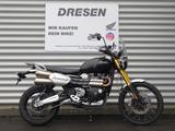 Triumph Scrambler 1200 XE ABS | 1.Hand | 2022 | - Motorräder in Halle