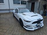 Ford Mustang 5.0 Ti-VCT V8 GT GT - Ford Mustang Gebrauchtwagen in Stuttgart