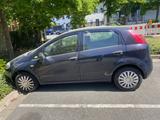 Fiat Auto fiat punto - Fiat Punto Gebrauchtwagen in Nürnberg