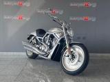 Harley-Davidson HARLEY-DAVIDSON 1130 V-ROD - VRSCA EDIZIONE LIMI - HARLEY-DAVIDSON V ROD VRSCA