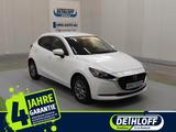 Mazda 2 SKYACTIV-G 90  6AG EXCLUSIVE - Mazda 2 in Rostock