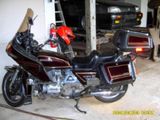 Honda GL 1100 - Angebote entsprechen deinen Suchkriterien