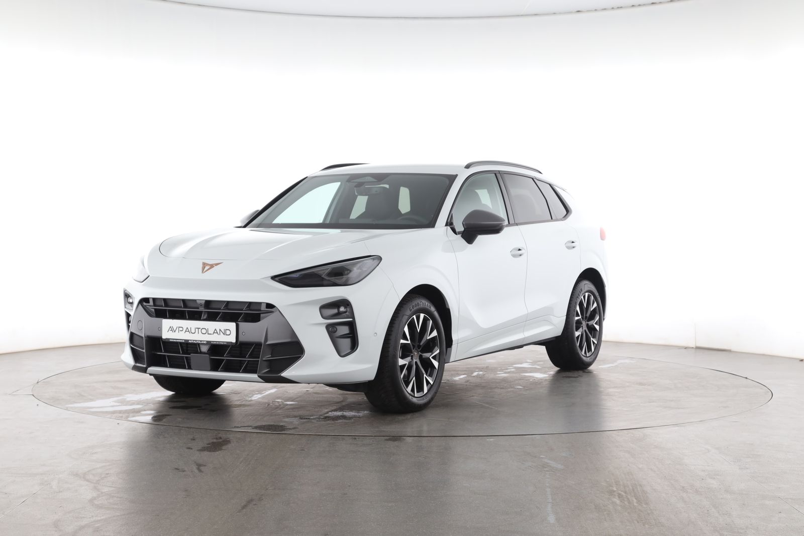 Cupra Terramar - Bild 2