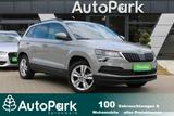 Skoda Karoq Active - Skoda Karoq: Active