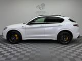 Alfa Romeo Stelvio Quadrifoglio Q4|AKRAPOVIC|PANO|Schale| - Alfa Romeo Stelvio: Quadrifoglio