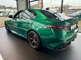 Alfa Romeo Giulia Quadrifoglio harman/kardon KarbonPaket - Alfa Romeo Giulia: Coupe