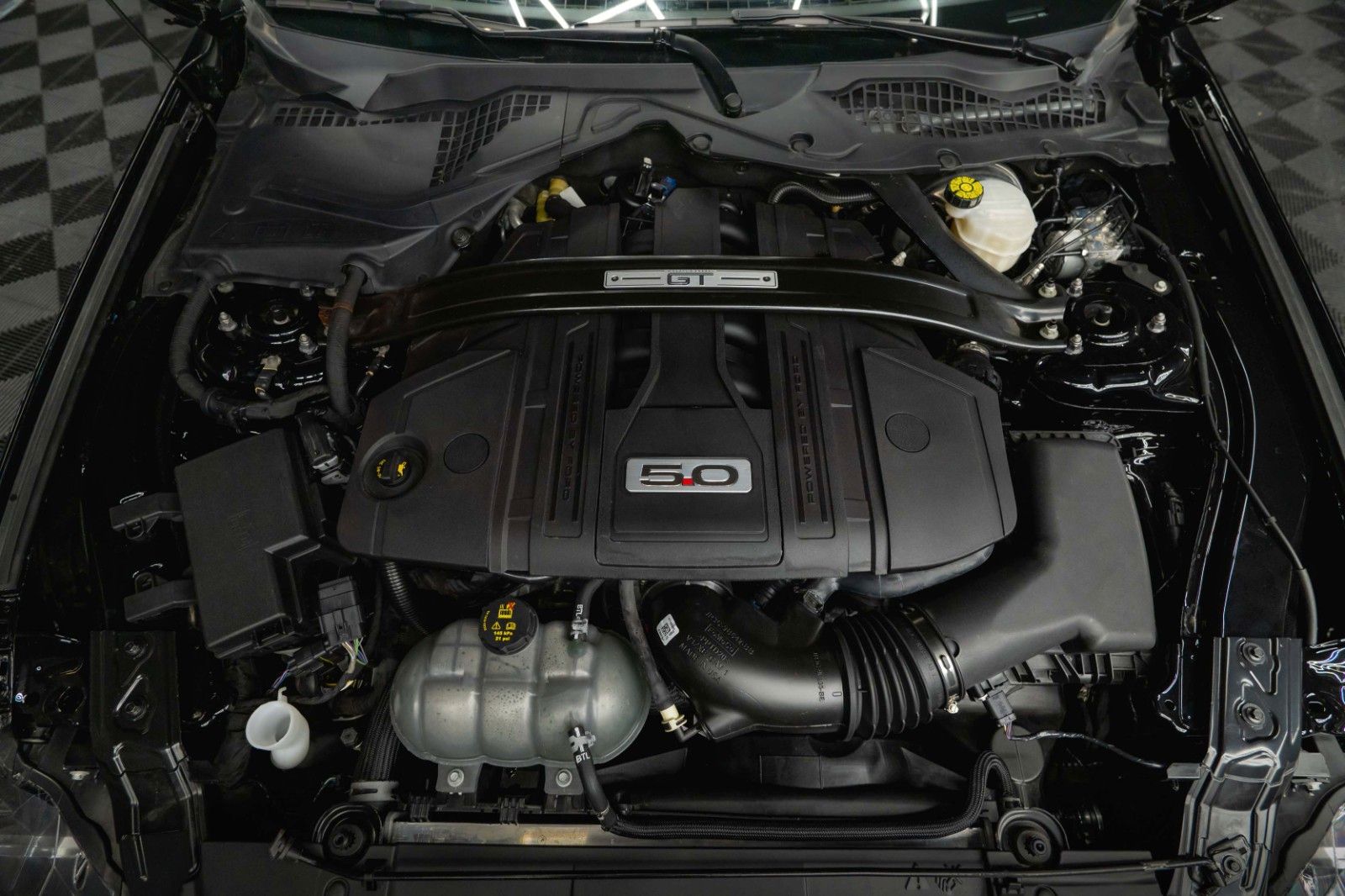 Fahrzeugabbildung Ford Mustang Shelby GT 500 5.0 V8 Performance PREMIUM