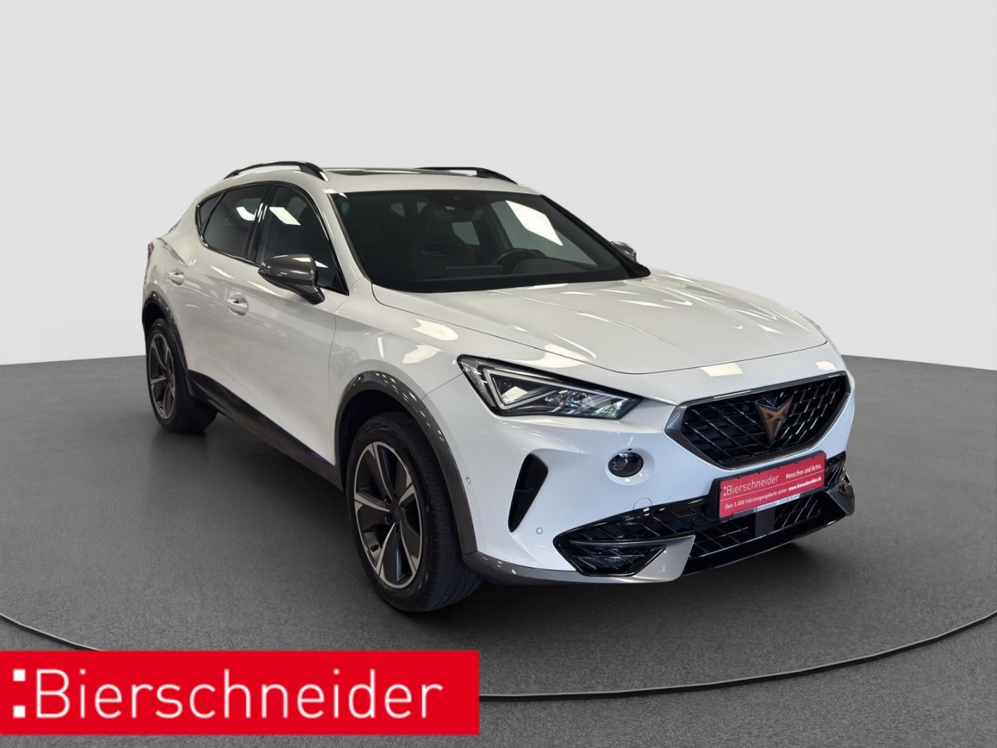Cupra Formentor 1.5e TSI DSG AHK PANO NAVI RFK imagem 3