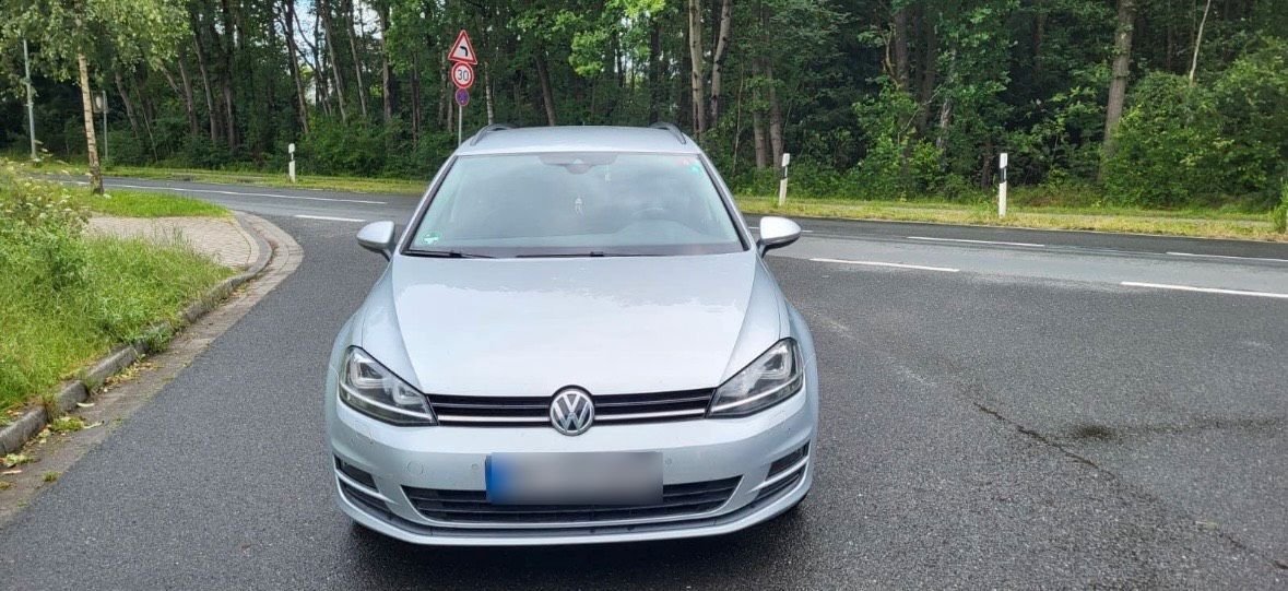 VW VW Golf VII 1.6 TDI Variant Automatik