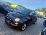 Fiat 500 Lounge Cabrio 2.Hand Tuv neu 1.Jahr Garantie - Fiat 500 in Ludwigshafen
