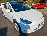 Tesla Model Y Long Range Dual Motor AWD Garantie 