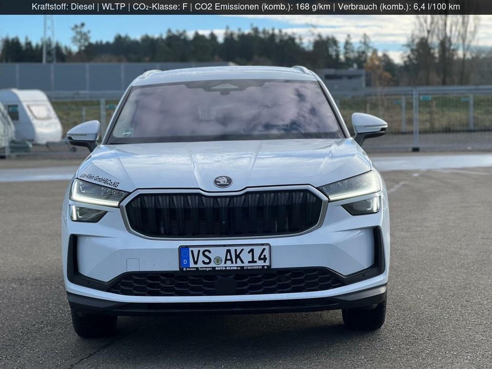 Skoda Kodiaq Selection NEU 2.0 TDI 4x4 /WSS beheizbar/