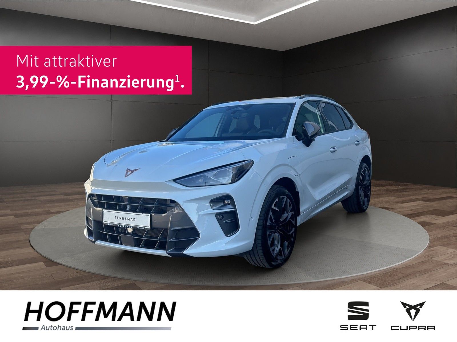 Fahrzeugbild von Cupra Terramar