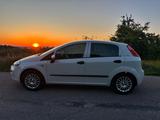 Fiat Grand Punto - gebrauchte Fiat Punto aus dem Jahr 2017