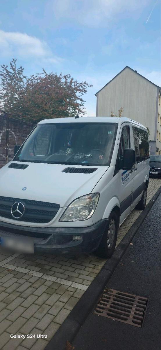 Mercedes-Benz Sprinter 2010 — rear view