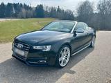 Audi S5 3.0 V6T Quattro Cabriolet Kompress... - Audi Cabriolet mit Benzin-Antrieb: Cabrio, Automatik