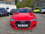 Audi A4 Avant 35 TDI basis - Audi A4: Rot
