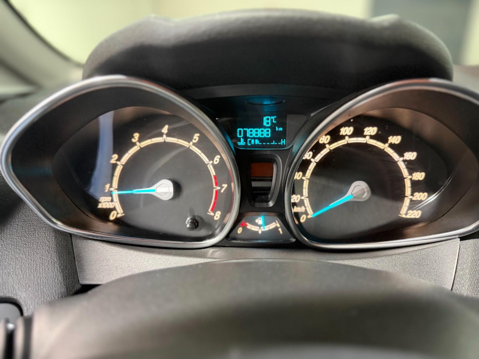 Ford Fiesta Titanium Berganfahrhilfe Winterpaket
