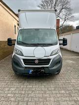 Fiat Koffer - Fiat Ducato Koffer Gebrauchtwagen