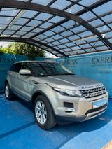 Land Rover Range Rover Evoque Pure - Land Rover: Evoque Pure