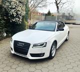 Audi A5 2.7 TDI (DPF) multitronic Cabriolet -