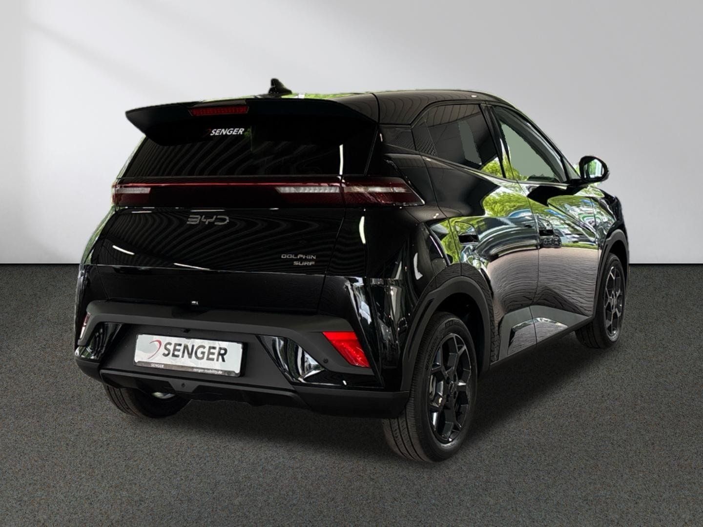 BYD DOLPHIN SURF
