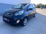 Kia Picanto Edition 7** 58 TKM** - Kia Picanto in Halle