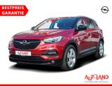 Opel Grandland 1.2 Business Edition Kamera Tempomat - Opel Grandland (X) Gebrauchtwagen