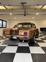 Ford Mustang - gebrauchte Ford Mustang aus dem Jahr 1965