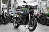 Benelli Leoncino 500 Trail, unfallfrei, 1. Hand - BENELLI LEONCINO