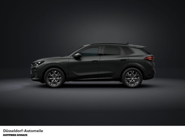 Cupra Terramar - Bild 4