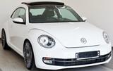 Volkswagen Beetle Lim. Design SH,PDC,Panorama,SR 20"+WR - Volkswagen Beetle: Limousine