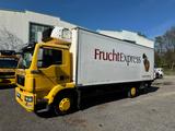 MAN TGM 15.290 Kühlkoffer  SUPRA 750Nordic Voll Luft - Angebote