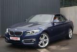 BMW 220i Luxury Line Navi Totwinkel Leder Keyless-Go - blaue BMW 2er Reihe