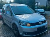 Volkswagen Caddy Kasten/Kombi Roncalli Trendline 4Motion - : Allradantrieb, Van