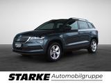 Skoda Karoq 1.0 TSI Ambition  Navi PDC LM Tempo Klima