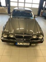 Jaguar XJ12 Double Six Daimler *Sammlerzustand - Jaguar: 12