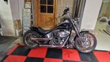 Harley-Davidson Softail Springer - HARLEY-DAVIDSON 2001 SOFTAIL