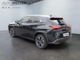 Lexus UX 250h Style Edition *Bi-LED*ACC*CAM*SHZ*CarPla - Lexus in Dortmund