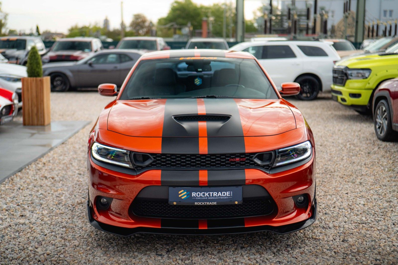 Fahrzeugabbildung Dodge Charger 5.7 V8 HEMI R/T Night-Paket Performance