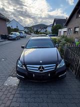 Mercedes-Benz 220 - Mercedes-Benz 220: Braun