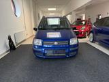 Fiat Panda 1.2 8V /Klima/2.Hand/Tüv/ - Fiat Panda in Hagen