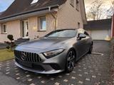 Mercedes-Benz CLS 400 d 4MATIC -Grau Matt Lack Leder Scheckhef - Mercedes-Benz CLS 400 von privat