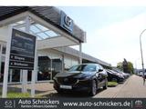 Mazda CX-30 SKY-G SELECTION+PRE-P+NAV+HUD+BOSE+360CAM! - Mazda CX-30 in Duisburg
